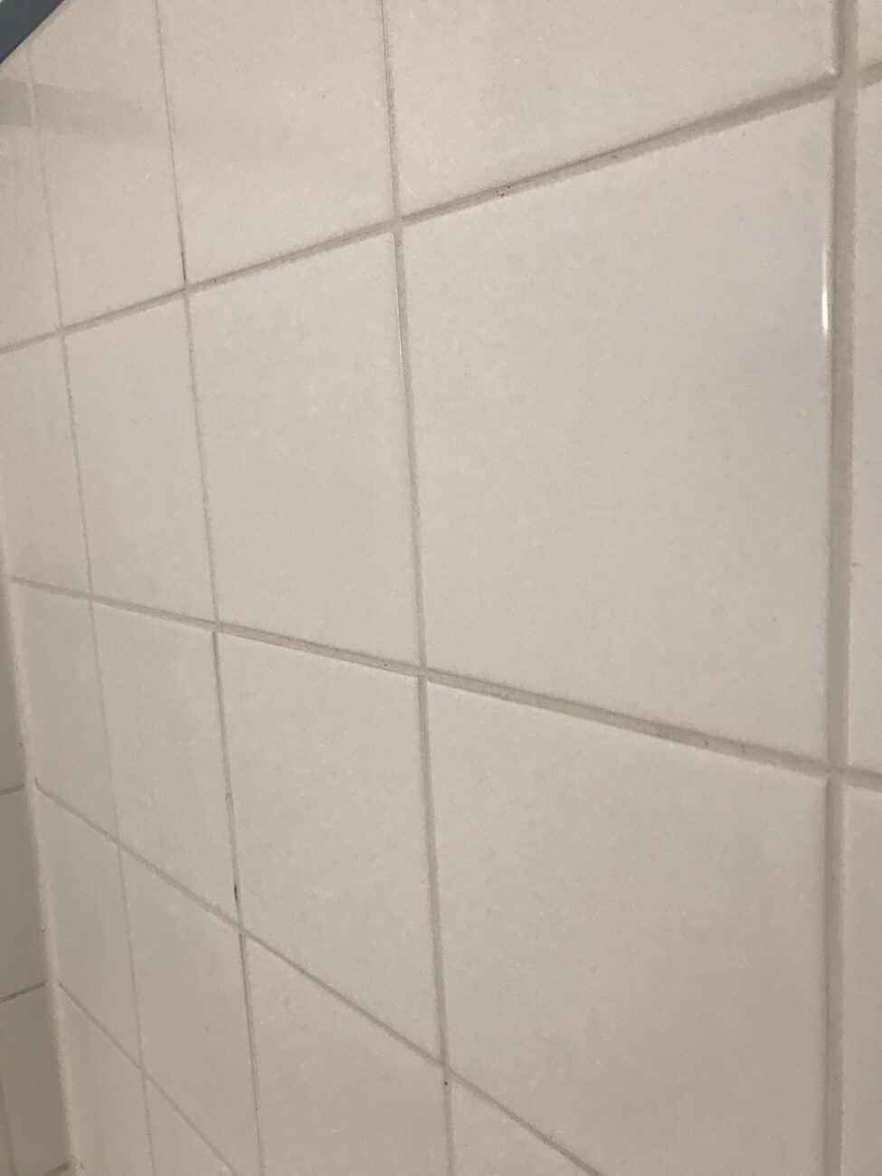 gereinigte Fliesenfugen im Badezimmer mit Fugentorpedo