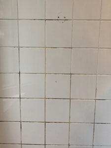 schwarze Fugen in der Dusche – verschmutzte Zementfugen vor der Reinigung