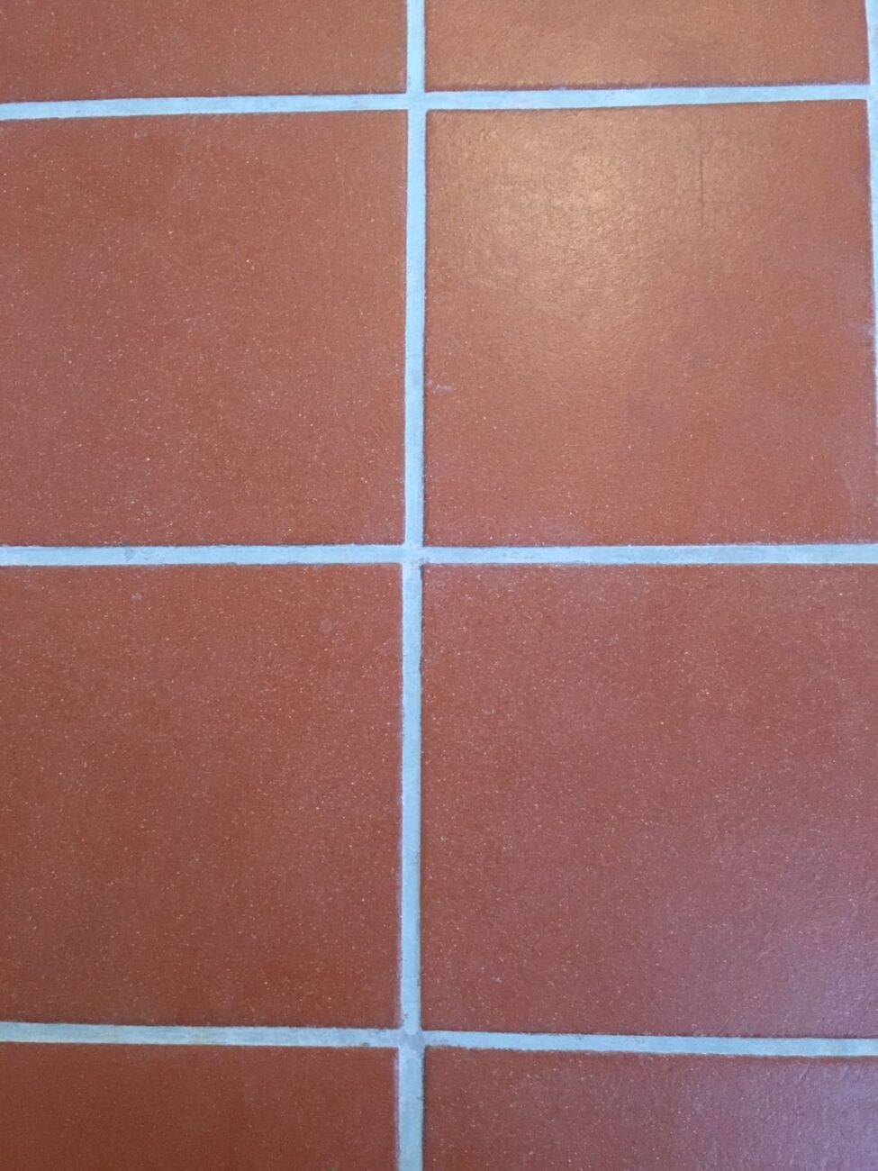 Fliesenfugen reinigen Cottofuge nachher