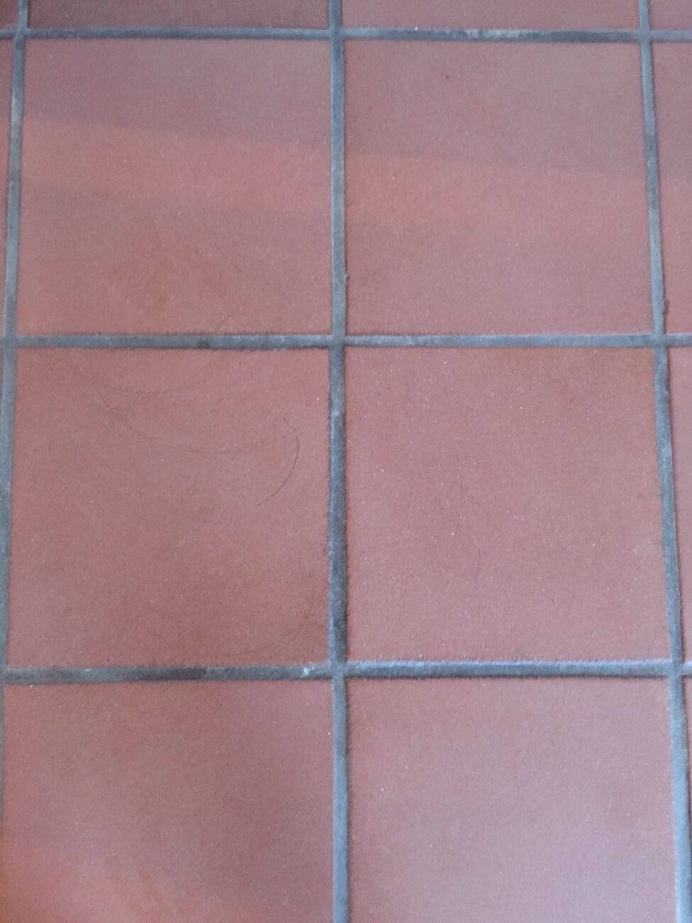 Fliesenfugen reinigen Cottofuge vorher